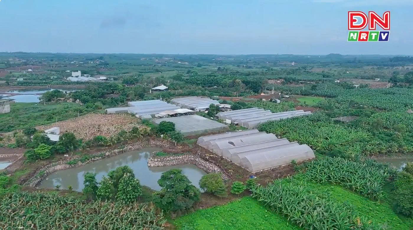 Nhà kính số 1