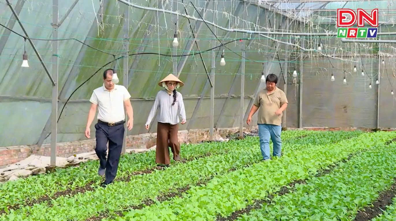 Nhà kính số 1