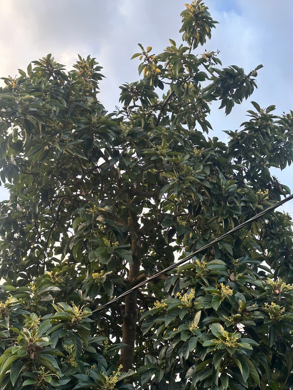 kiểm tra 01/09/2025